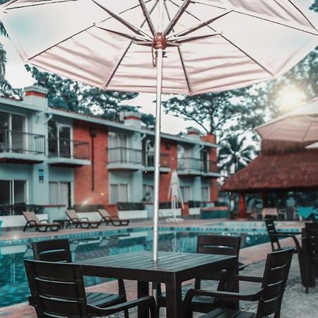Hotel Y Restaurante Meson Del Gitano Caucasia Exterior foto